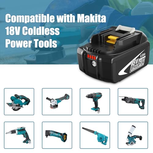 2 Pack 6.0Ah Li-ion 18V Battery and Charger Kit P809