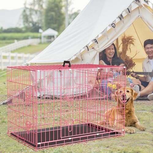 Large Dog Crate 42 Inch Double Door Folding Metal Wire Kennel with Divider Panel Z220483