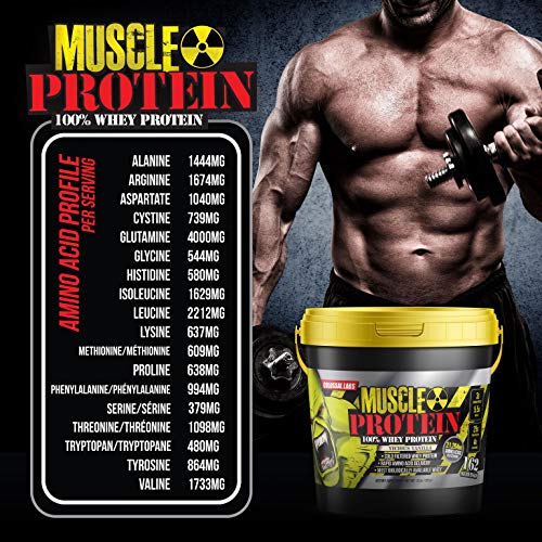 Chocolate Whey Protein Powder, 25g Protein per Serving Q471