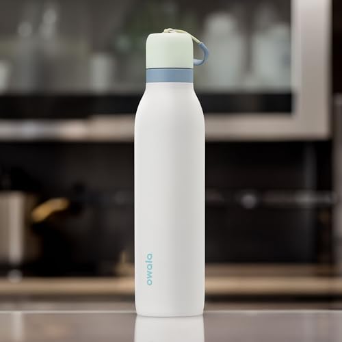 Insulated Stainless Steel Water Bottle with Straw, 24 oz, BPA-Free S8977