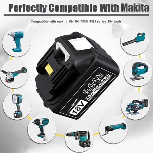 2 Pack 6000mAh 18V Battery with LED Indicator R64107