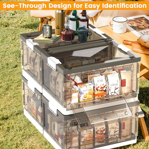 Foldable Storage Bins with Lids and Wheels M4456