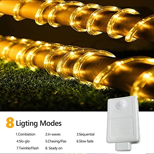 LED Rope Lights Outdoor 100ft, 720 LED Connectable Flexible Tube, 8 Modes, Waterproof for Garden Patio Party Decoration H83567