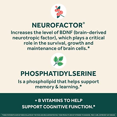 Brain Supplement for Memory and Focus, 30 Capsules T262