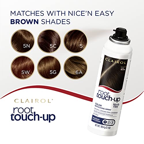 Root Touch-Up Temporary Spray, Dark Brown Hair Color, 2 Count Y504