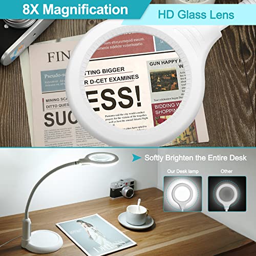 Magnifying Glass with Light and Clamp, Stepless Dimmable LED Desk Lamp D18589