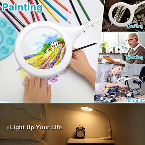 Magnifying Glass with Light and Clamp, Stepless Dimmable LED Desk Lamp D18589