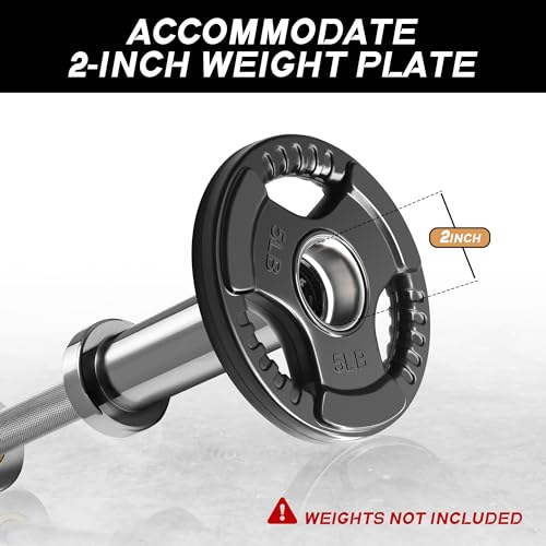 Olympic Dumbbell Handles Pair for 2" Weight Plates, 500lbs Capacity A66736