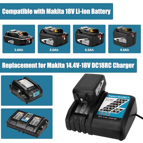 2 Pack 6.0Ah Li-ion 18V Battery and Charger Kit P809