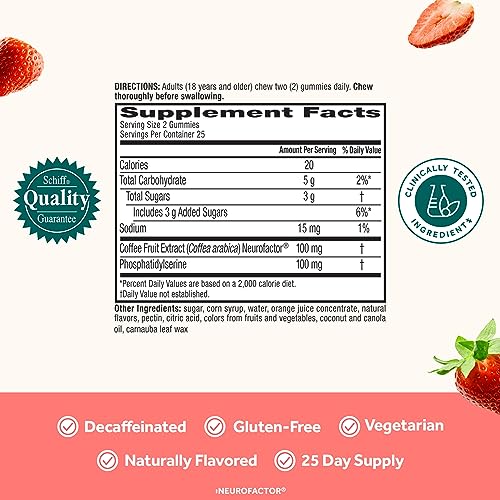 Caffeine-Free Brain Supplement Gummies for Memory & Focus P404