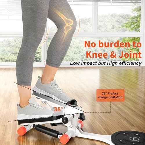Mini Twist Stepper with Resistance Bands and LCD Monitor B11468