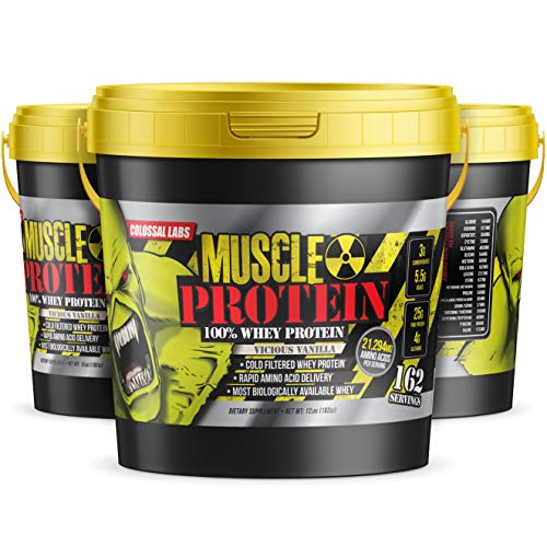 Chocolate Whey Protein Powder, 25g Protein per Serving Q471
