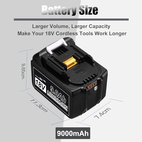2 Pack 6000mAh 18V Battery with LED Indicator R64107
