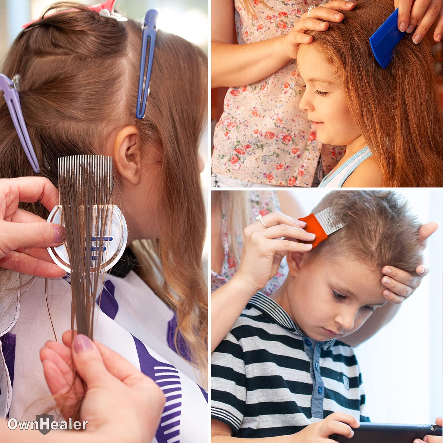 Professional Lice Comb Kit for Head Lice, Nits, and Dandruff Removal V82487