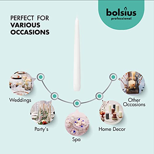 Long White Taper Candles - 30 Count - 10-inch Unscented Candlesticks U857
