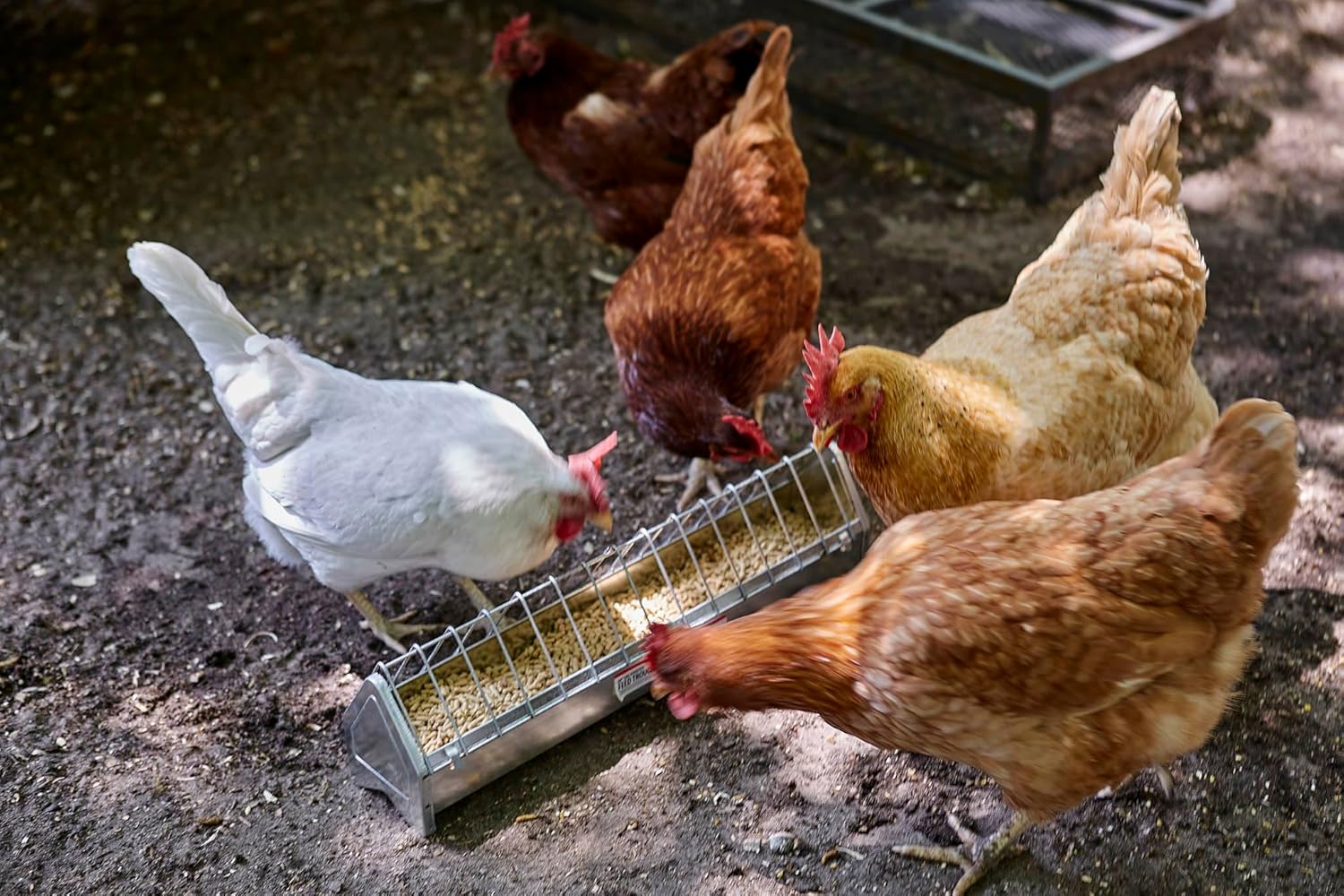 Galvanized Steel Poultry Trough Feeder with Grate, 20" J81039