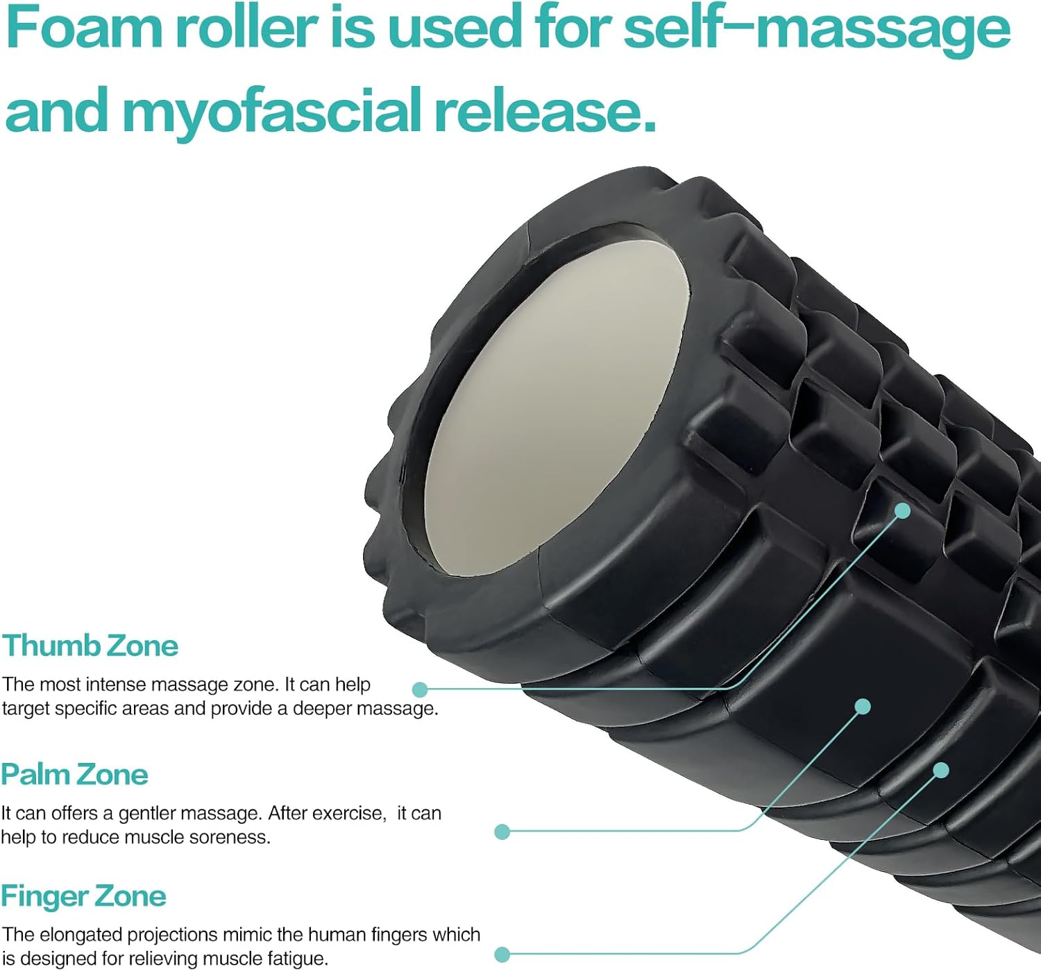 Foam Roller Set for Deep Tissue Muscle Massage, 12" and 13" Y5227