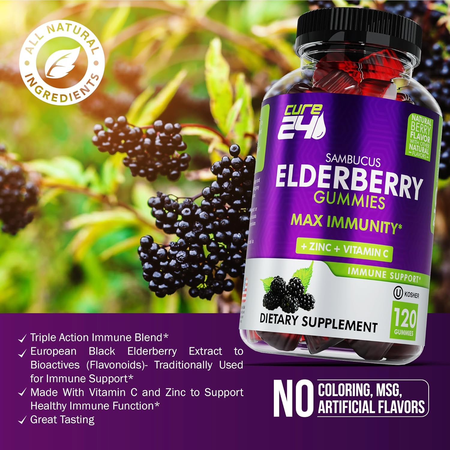 Elderberry Gummies with Vitamin C and Zinc Y749108