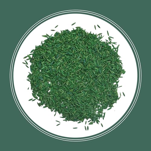 Kentucky 31 Tall Fescue Grass Seed 20 lb & Starter Lawn Fertilizer 14 lb O40443