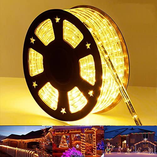 100ft LED Rope Lights Outdoor, 720 LED Connectable and Flexible Tube Lights with 8 Modes, Waterproof LED Rope Lighting for Garden, Patio, Pool, Bedroom, Party, Indoor Outdoor Decoration (Multicolor)