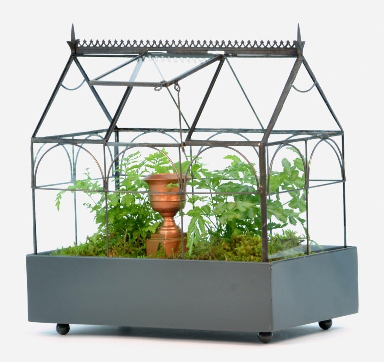 Glass Terrarium Planter for Succulents F3820