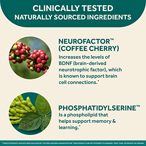 Brain Supplement for Memory, Focus and Concentration, Caffeine Free, 30ct Capsules H86972
