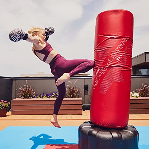 Freestanding Punching Bag with Base for Boxing Martial Arts Kickboxing S773053