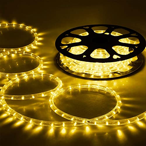 LED Rope Lights Outdoor 100ft, 720 LED Connectable Flexible Tube, 8 Modes, Waterproof for Garden Patio Party Decoration H83567