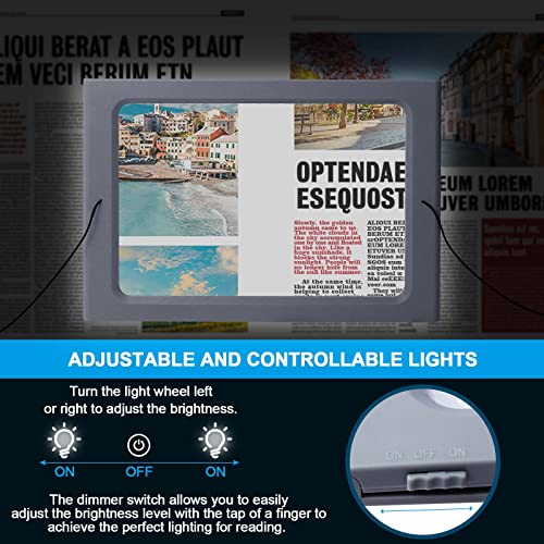 Magnifying Glass with Light and Stand, 36 LED Dimmable Floor Lamp Q897338