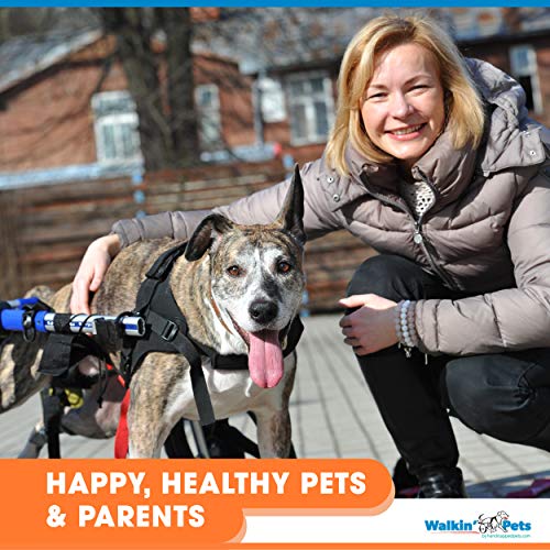 Dog Wheelchair for Large Dogs 70-180 lbs, Back Leg Support Z8758