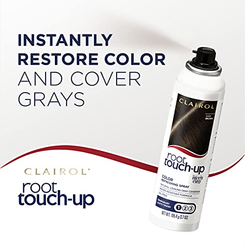 Root Touch-Up Temporary Spray, Dark Brown Hair Color, 2 Count Y504