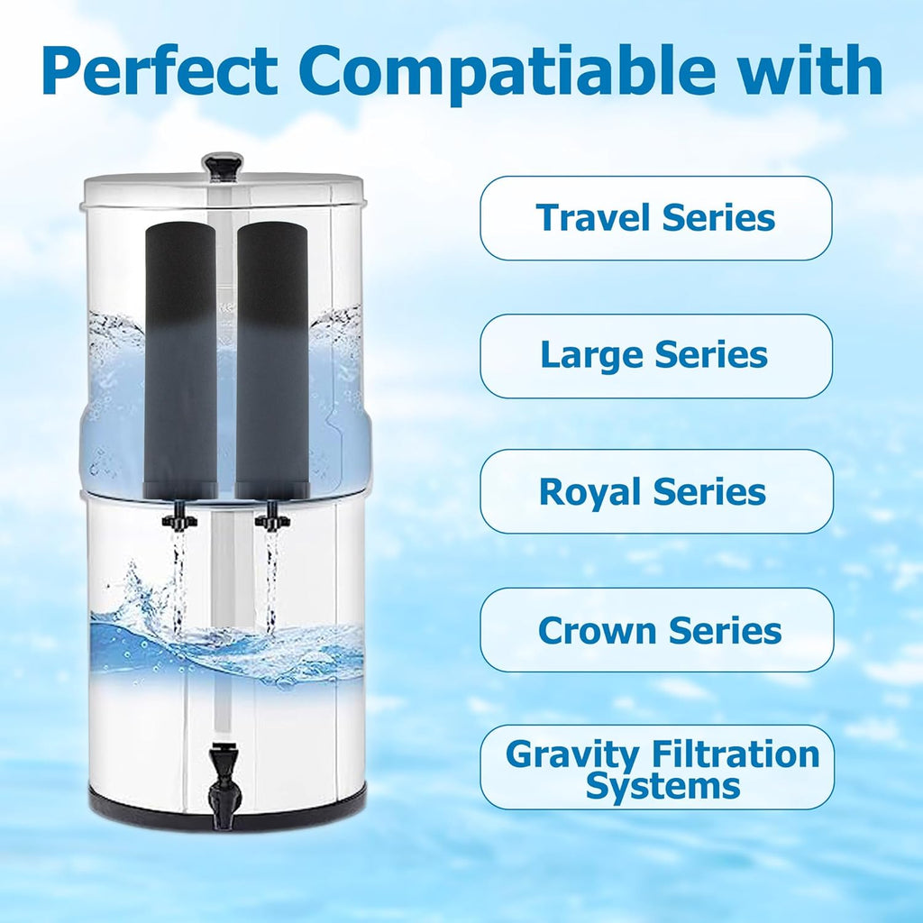 Water Filter Replacement, Black Activated Carbon, Compatible with Gravity Water Filter System, 2-Pack O569052