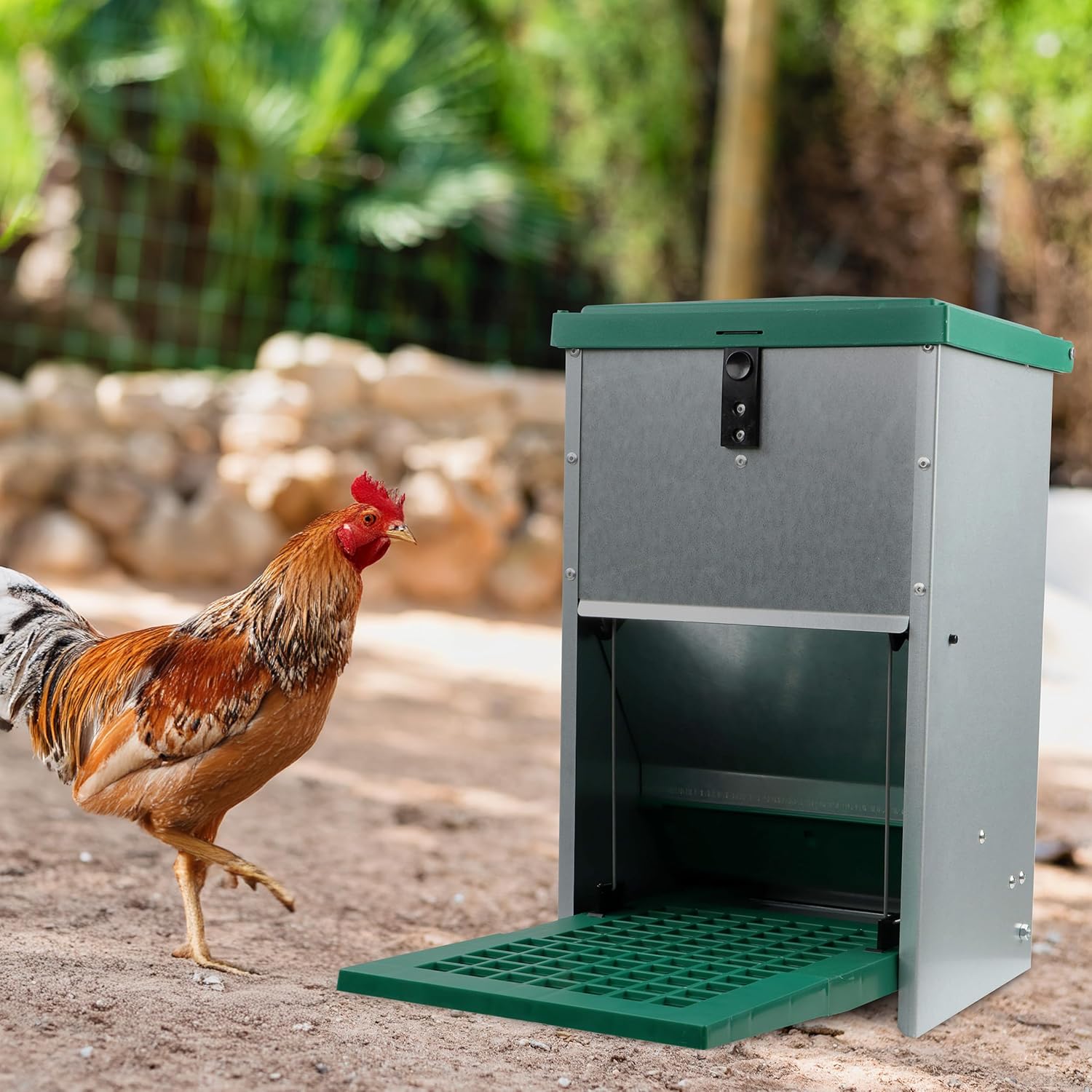 Pressure Lever Automatic Chicken Feeder, 17.6 lb Capacity A183