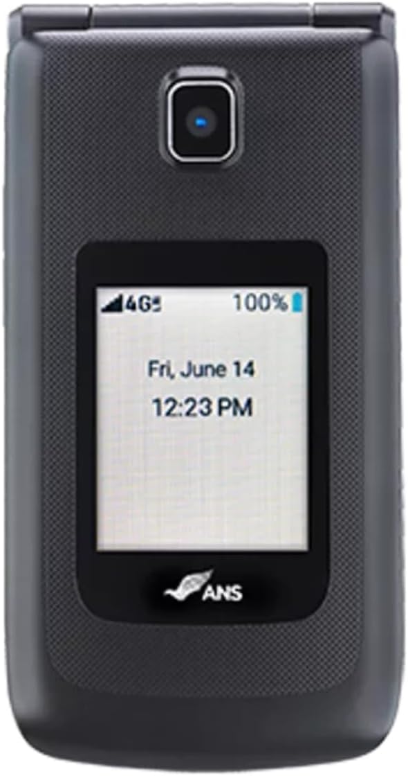Unlocked Flip Phone H311