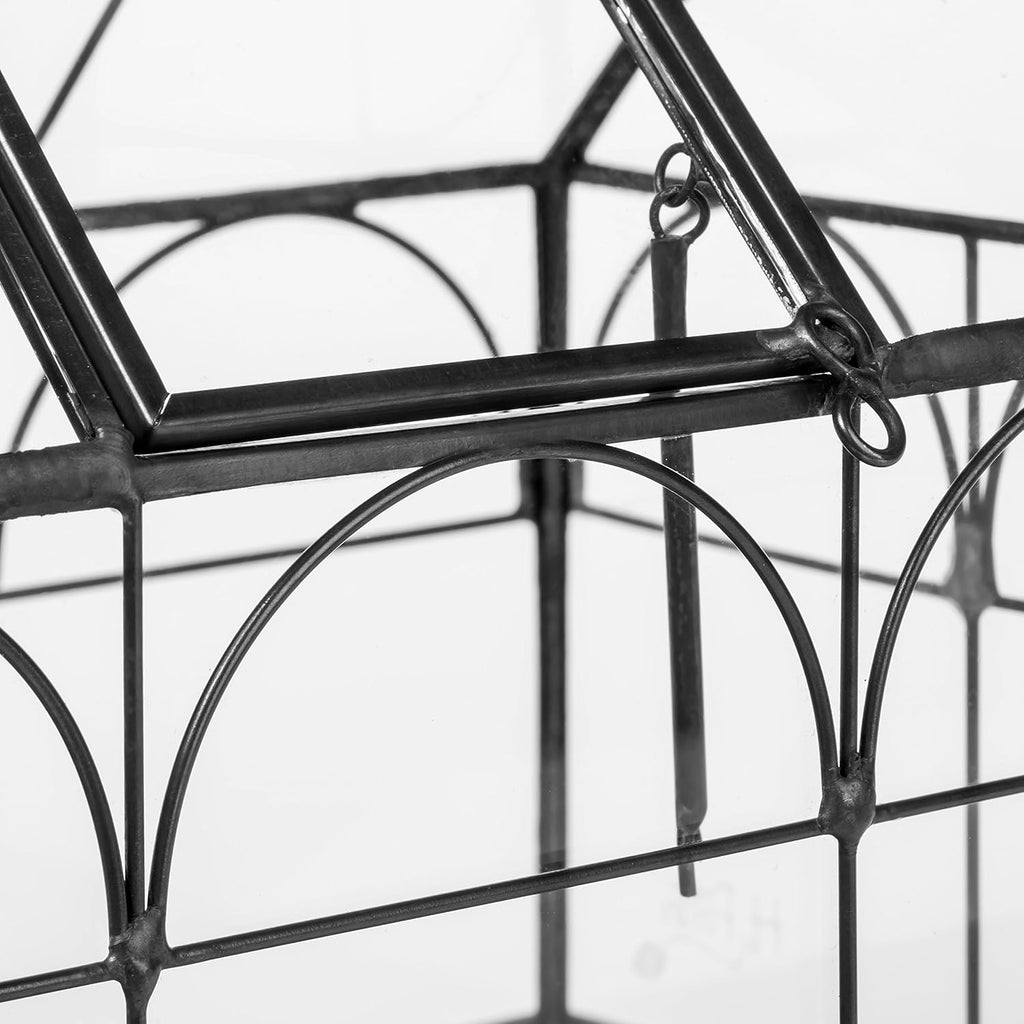 Glass Terrarium Planter for Succulents F3820