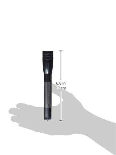 Mini LED 2-Cell AA Flashlight with Holster I30305