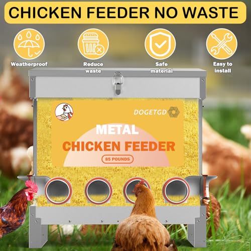 Automatic Metal Chicken Feeder, 85lbs Capacity, 10-Port Q521