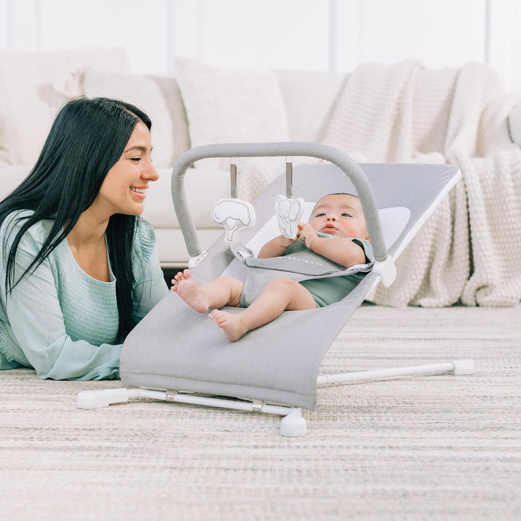 Baby Bouncer for Infant 0-6 Months, 3-Position Recline, Pebble Grey U830