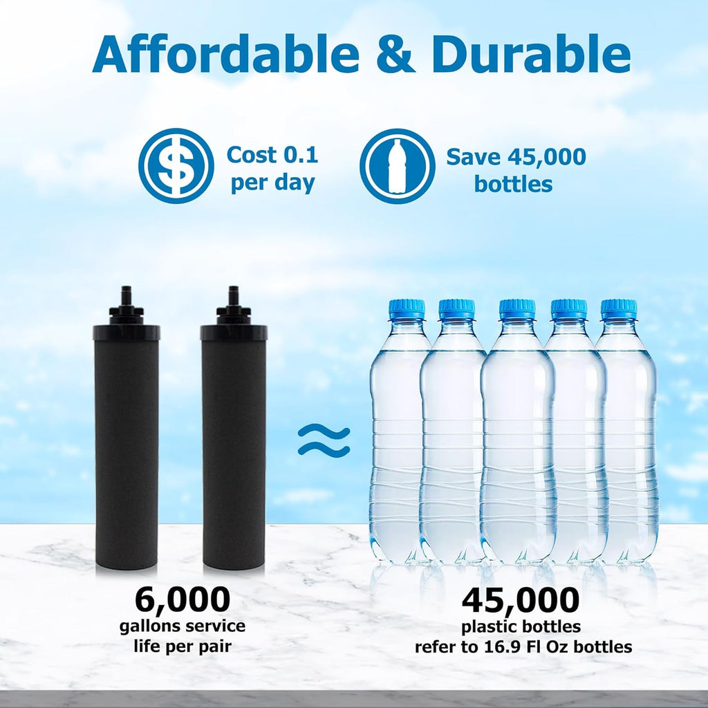 Water Filter Replacement, Black Activated Carbon, Compatible with Gravity Water Filter System, 2-Pack O569052