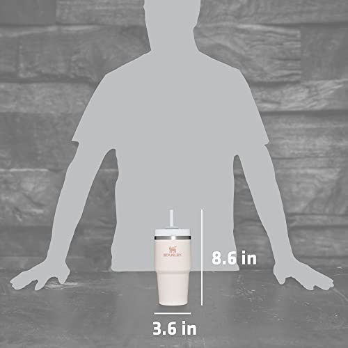 Insulated Stainless Steel Tumbler with Lid and Straw L389