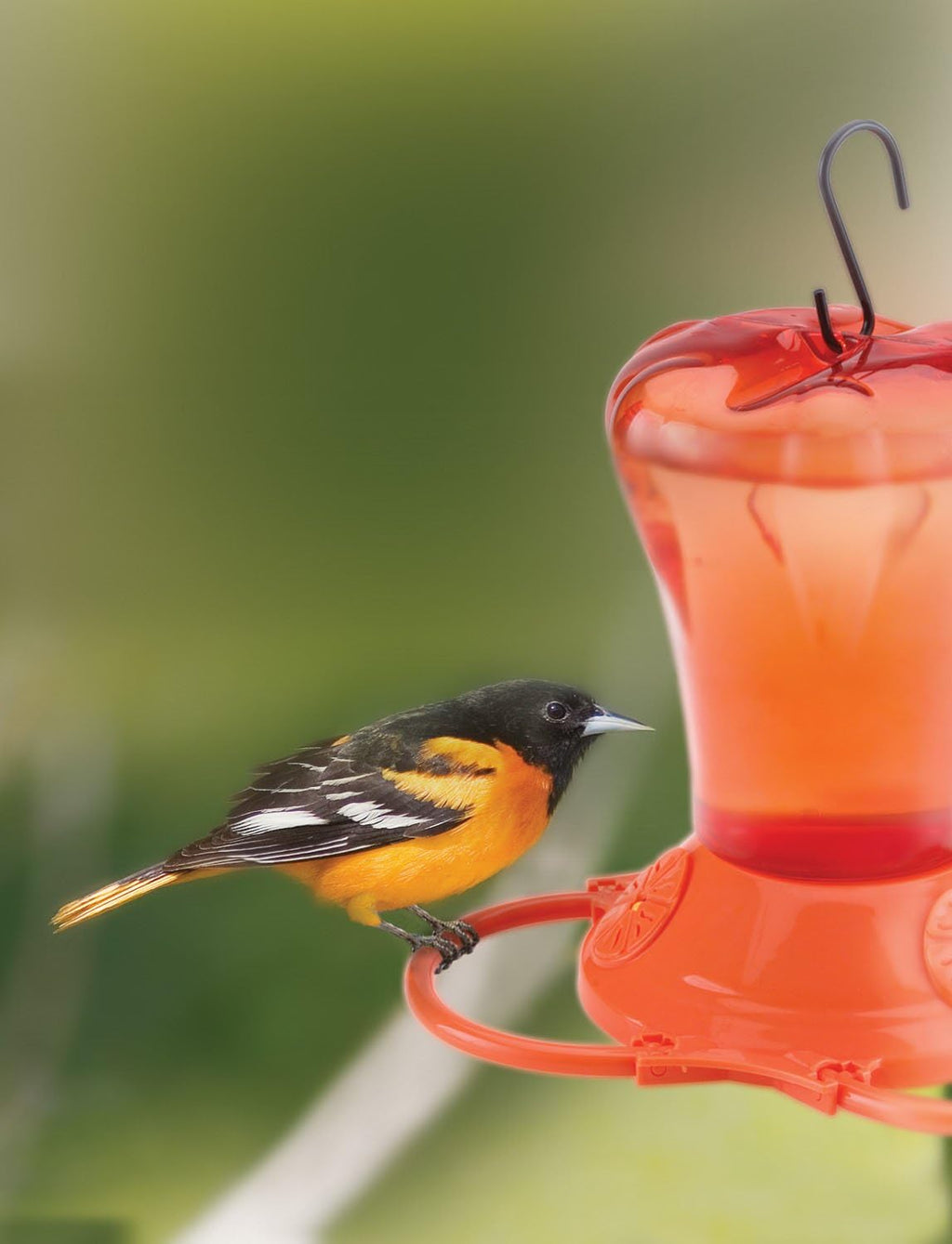 Oriole Feeder, Three Feeding Ports, Orange, 34-Ounce Capacity H7546