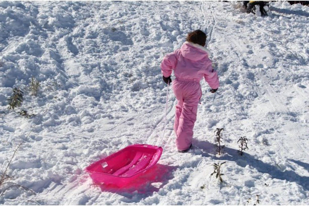 Toddler Plastic Snow Sled with Pull Rope and Handles, Red (2 Pack) N45026