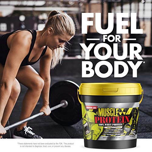 Chocolate Whey Protein Powder, 25g Protein per Serving Q471