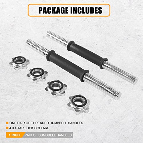 Threaded Dumbbell Handles 1 Inch Pair for Weight Plates O506945