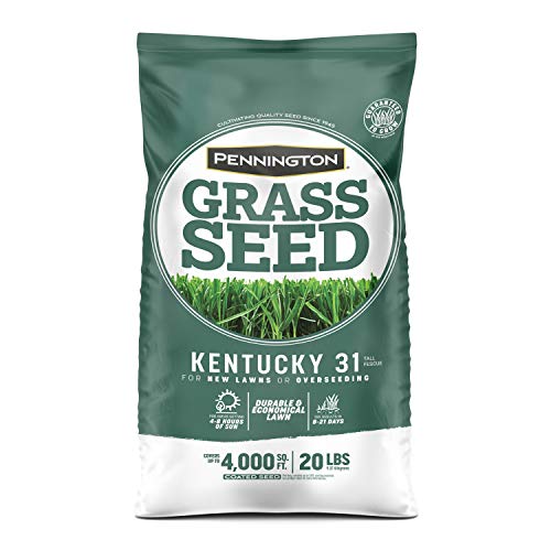 Pennington Kentucky 31 Tall Fescue Grass Seed 20 lb & UltraGreen Starter Lawn Fertilizer, 14 LBS, Covers 5000 sq ft