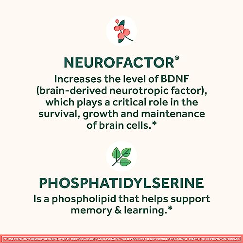 Caffeine-Free Brain Supplement Gummies for Memory & Focus P404