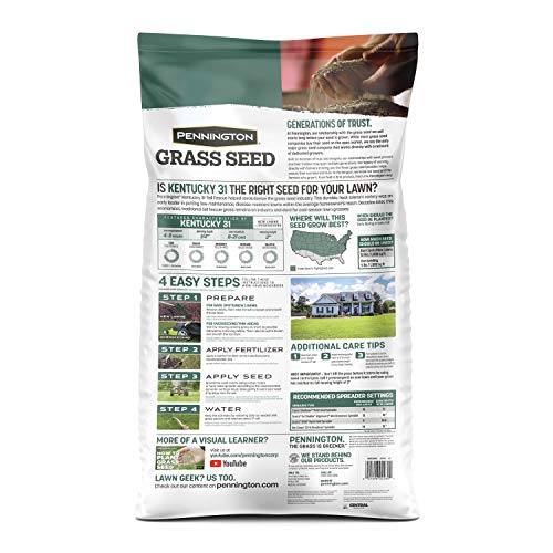 Kentucky 31 Tall Fescue Grass Seed 20 lb & Starter Lawn Fertilizer 14 lb O40443