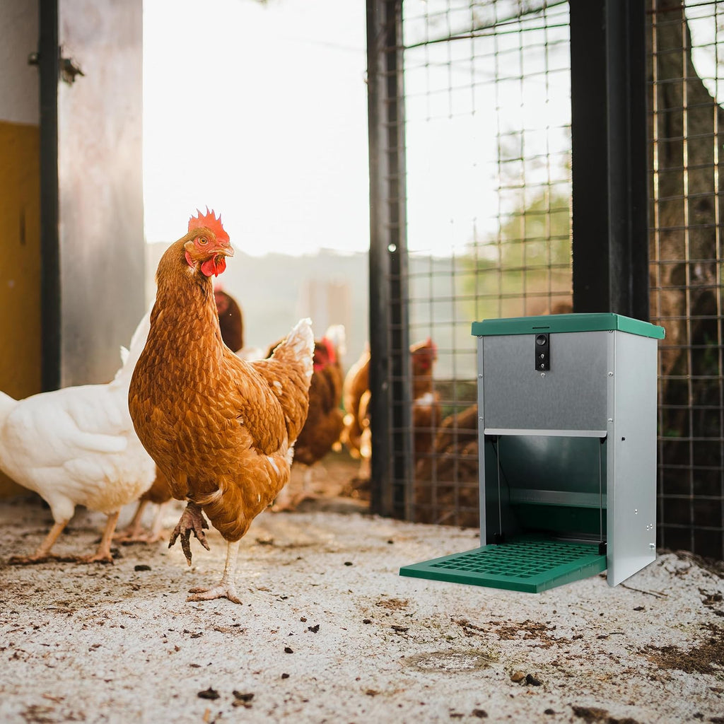 Pressure Lever Automatic Chicken Feeder, 17.6 lb Capacity A183
