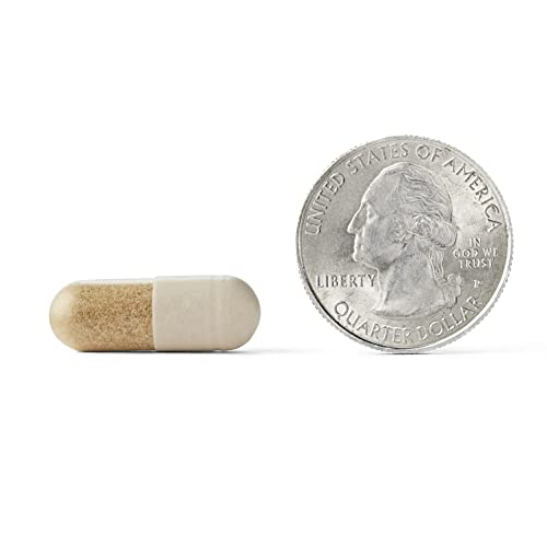 Brain Supplement for Memory and Focus, 30 Capsules T262