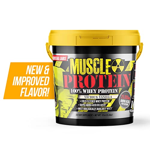 Chocolate Whey Protein Powder, 25g Protein per Serving Q471